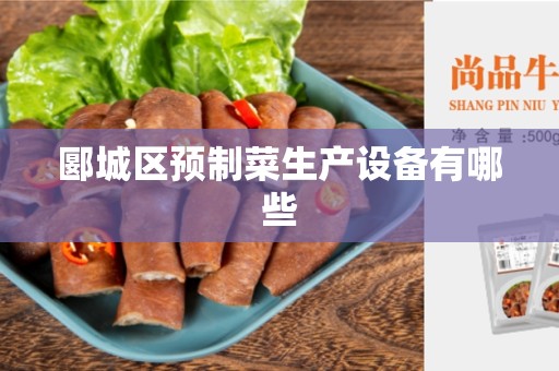 郾城区预制菜生产设备有哪些