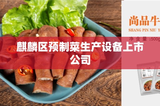 麒麟区预制菜生产设备上市公司