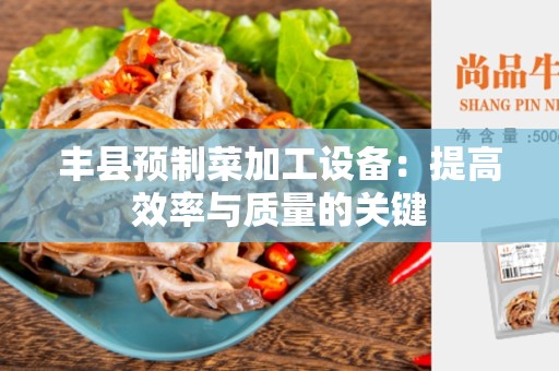 丰县预制菜加工设备：提高效率与质量的关键