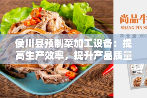 侯川县预制菜加工设备：提高生产效率，提升产品质量的利器