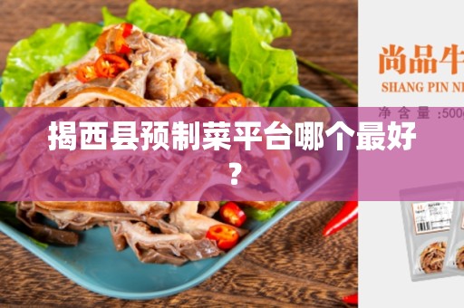 揭西县预制菜平台哪个最好？