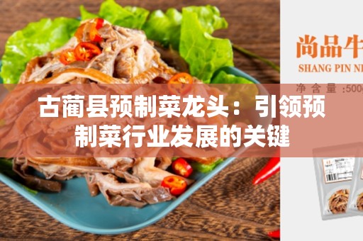 古蔺县预制菜龙头：引领预制菜行业发展的关键