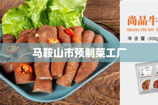 马鞍山市预制菜工厂