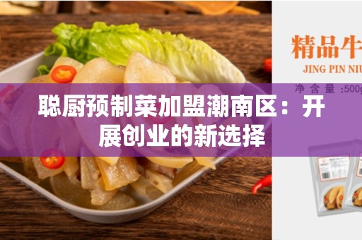 聪厨预制菜加盟潮南区：开展创业的新选择