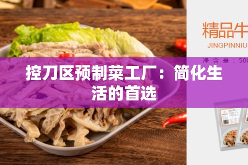 控刀区预制菜工厂：简化生活的首选