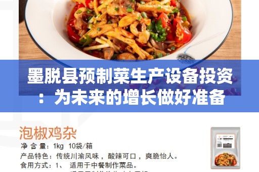 墨脱县预制菜生产设备投资：为未来的增长做好准备
