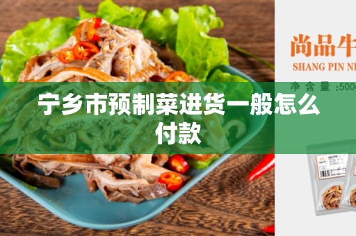 宁乡市预制菜进货一般怎么付款