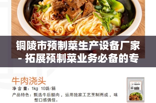 铜陵市预制菜生产设备厂家- 拓展预制菜业务必备的专业设备