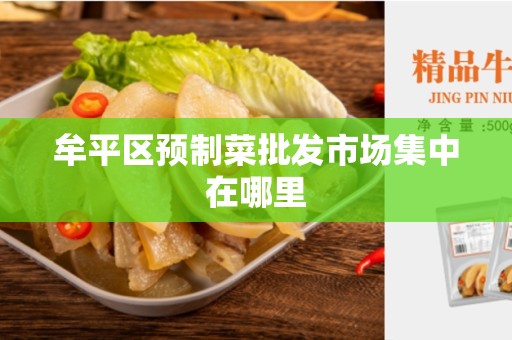 牟平区预制菜批发市场集中在哪里