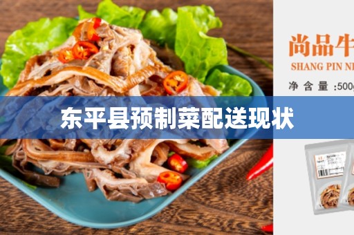 东平县预制菜配送现状