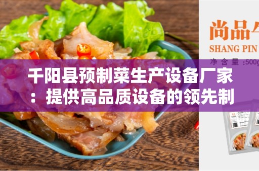 千阳县预制菜生产设备厂家：提供高品质设备的领先制造商