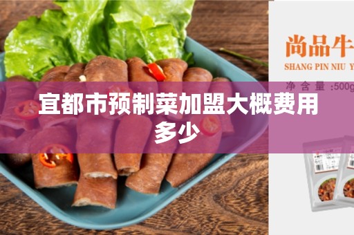 宜都市预制菜加盟大概费用多少
