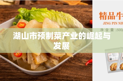 湖山市预制菜产业的崛起与发展