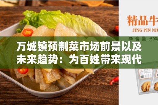 万城镇预制菜市场前景以及未来趋势：为百姓带来现代化的便利