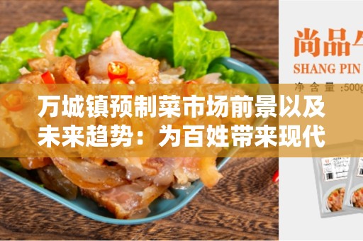 万城镇预制菜市场前景以及未来趋势：为百姓带来现代化的便利