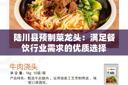 陆川县预制菜龙头：满足餐饮行业需求的优质选择