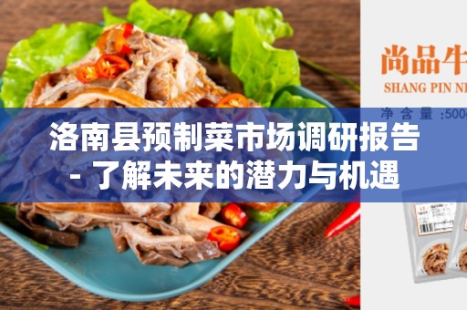 洛南县预制菜市场调研报告- 了解未来的潜力与机遇