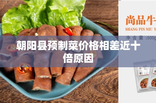 朝阳县预制菜价格相差近十倍原因