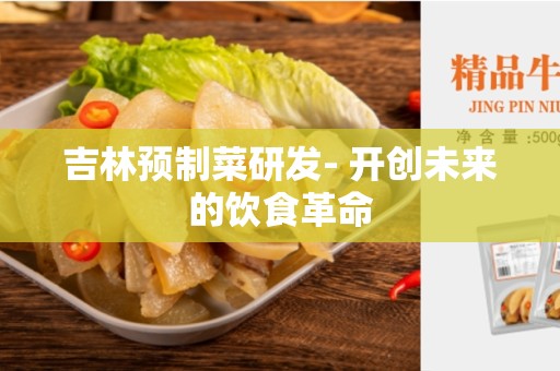 吉林预制菜研发- 开创未来的饮食革命