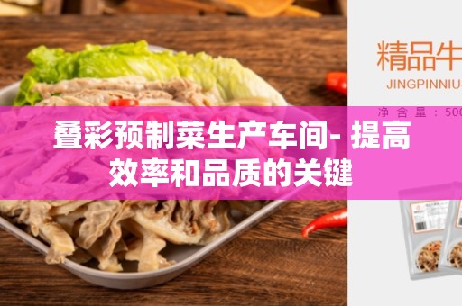 叠彩预制菜生产车间- 提高效率和品质的关键