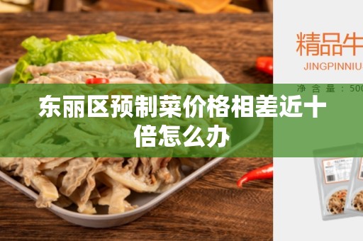 东丽区预制菜价格相差近十倍怎么办