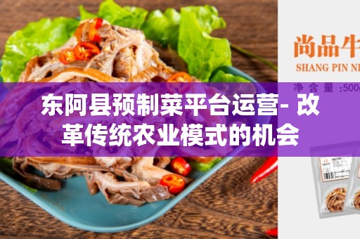 东阿县预制菜平台运营- 改革传统农业模式的机会