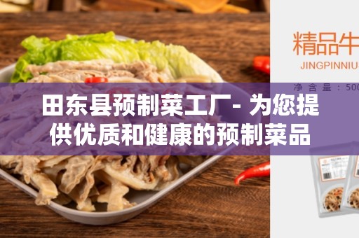 田东县预制菜工厂- 为您提供优质和健康的预制菜品