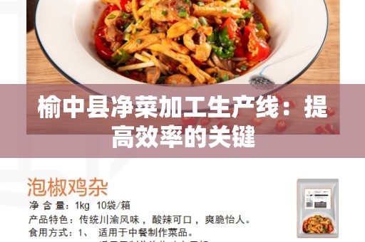 榆中县净菜加工生产线：提高效率的关键