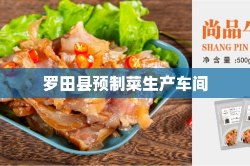 罗田县预制菜生产车间