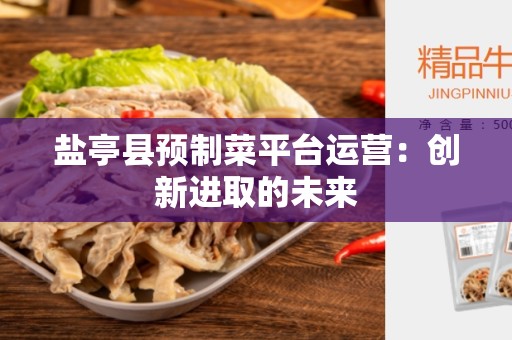 盐亭县预制菜平台运营：创新进取的未来