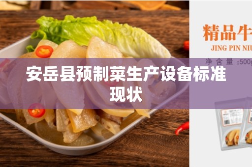 安岳县预制菜生产设备标准现状