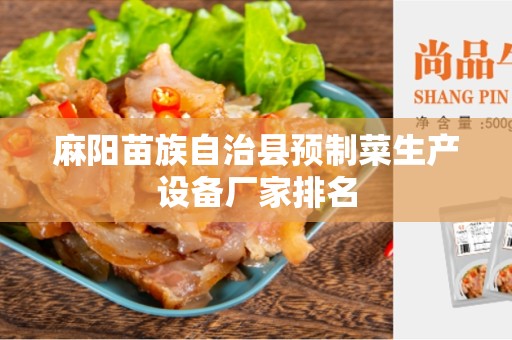 麻阳苗族自治县预制菜生产设备厂家排名