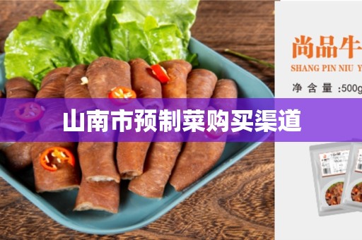 山南市预制菜购买渠道