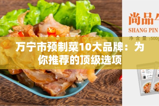 万宁市预制菜10大品牌：为你推荐的顶级选项