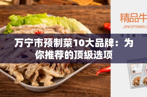 万宁市预制菜10大品牌：为你推荐的顶级选项