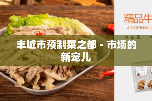 丰城市预制菜之都 - 市场的新宠儿
