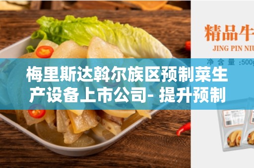 梅里斯达斡尔族区预制菜生产设备上市公司- 提升预制菜行业的质量与效率