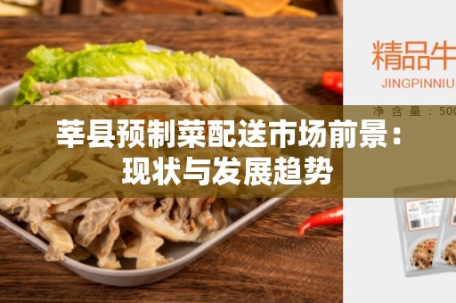 莘县预制菜配送市场前景：现状与发展趋势