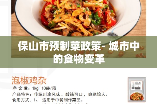 保山市预制菜政策- 城市中的食物变革