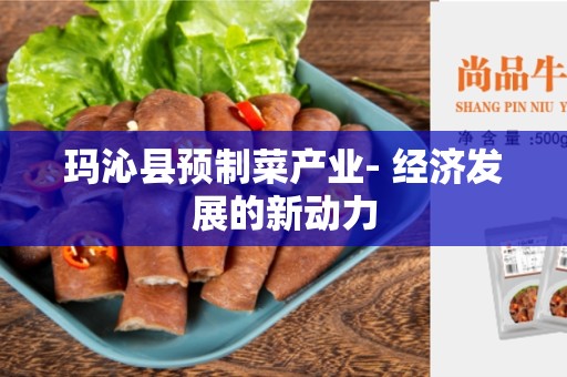 玛沁县预制菜产业- 经济发展的新动力