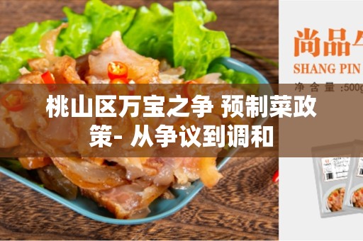 桃山区万宝之争 预制菜政策- 从争议到调和