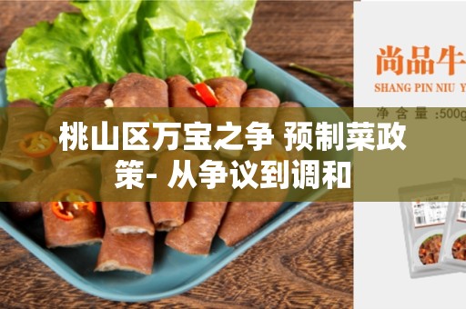桃山区万宝之争 预制菜政策- 从争议到调和