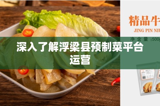 深入了解浮梁县预制菜平台运营