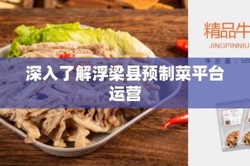 深入了解浮梁县预制菜平台运营