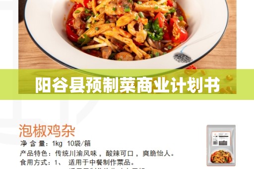 阳谷县预制菜商业计划书