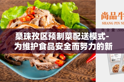 桑珠孜区预制菜配送模式- 为维护食品安全而努力的新方法