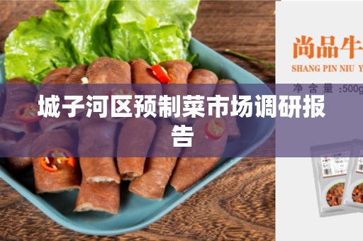 城子河区预制菜市场调研报告
