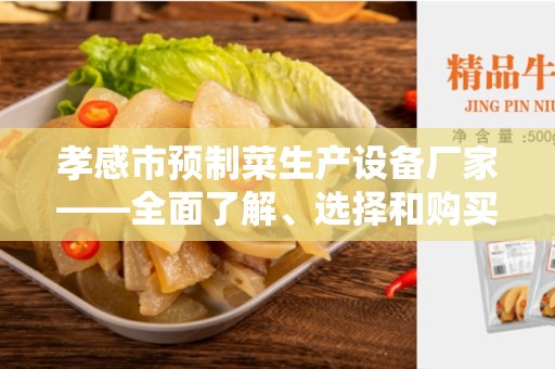 孝感市预制菜生产设备厂家——全面了解、选择和购买