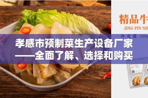 孝感市预制菜生产设备厂家——全面了解、选择和购买