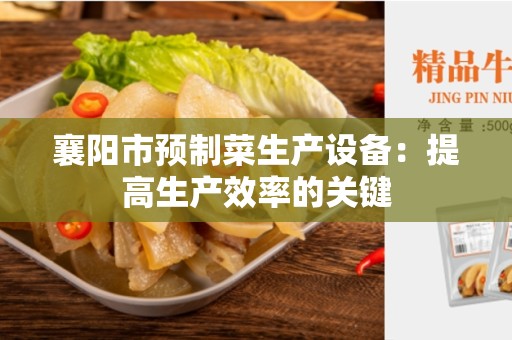 襄阳市预制菜生产设备：提高生产效率的关键